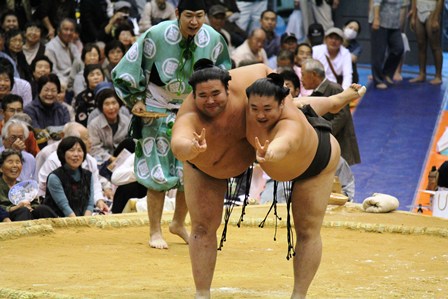 大相撲小豆島オリーブ場所 が開催されました 豆子のまめナビ