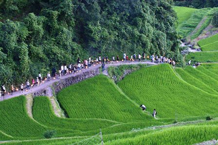 中山虫送り.jpg