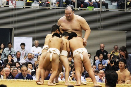 大相撲小豆島オリーブ場所 が開催されました 豆子のまめナビ